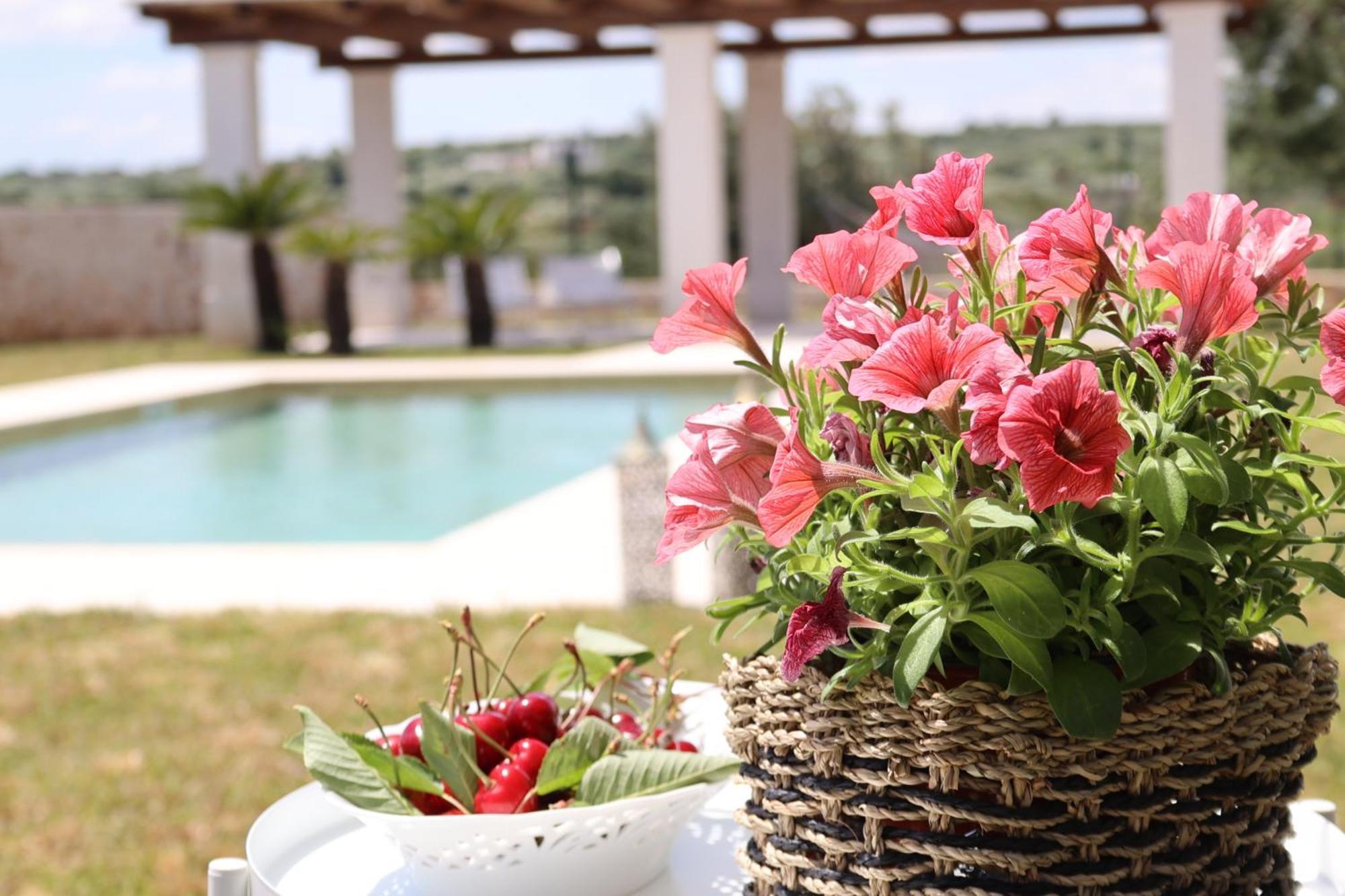 Dimora San Michele Hotel Castellana Grotte Ngoại thất bức ảnh